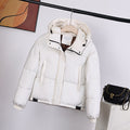 Offwhite
